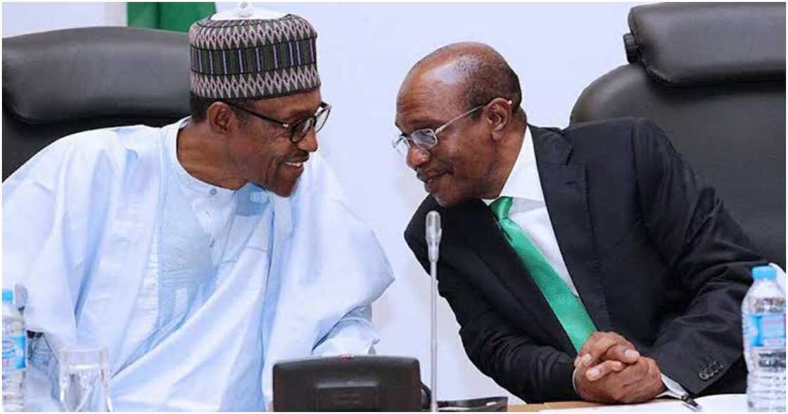 Former Minister of Education, Oby Ezekwesili, Central Bank of Nigeria (CBN), President Muhammadu Buhari, Aso Rock Villa, Naira redesign policy Former Minister of Education, Oby Ezekwesili, Central Bank of Nigeria (CBN), President Muhammadu Buhari, Aso Rock Villa, Naira redesign policy