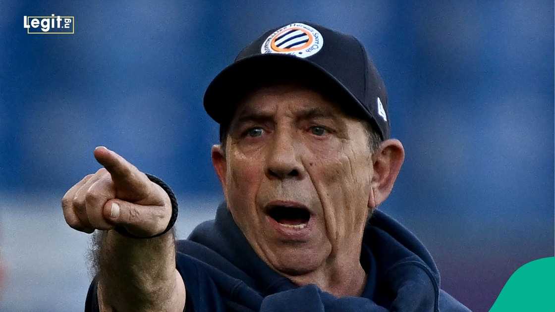 Jean-Louis Gasset, Ligue 1, Montpellier, Le Havre AC, Stade de la Mosson, Southern France.