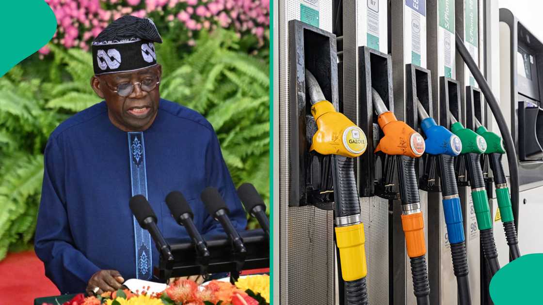 Tinubu defends subsidy removal, calling Atiku’s proposal ignorant and fiscally unsustainable.