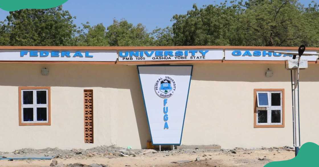 A building at the Federal University Gashua