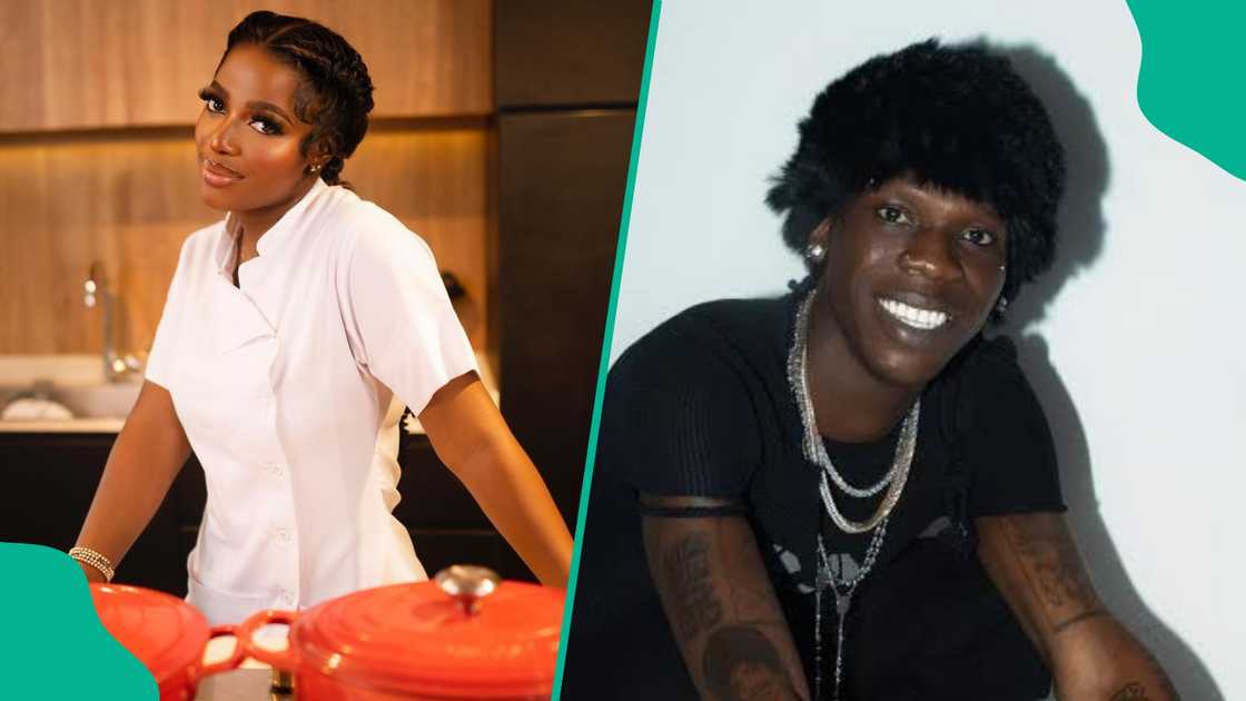 Seyi Vibez takes down tweets about Hilda Baci on his social media page.