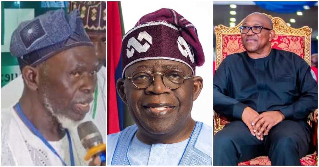 Tinubu/Peter Obi news today Tinubu/Peter Obi news today