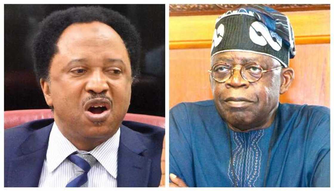 Shehu Sani ya zolayi Tinubu