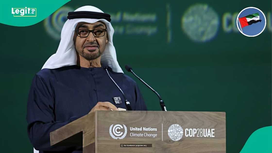 UAE lists 9 business activities foreigners cannot have full ownership of