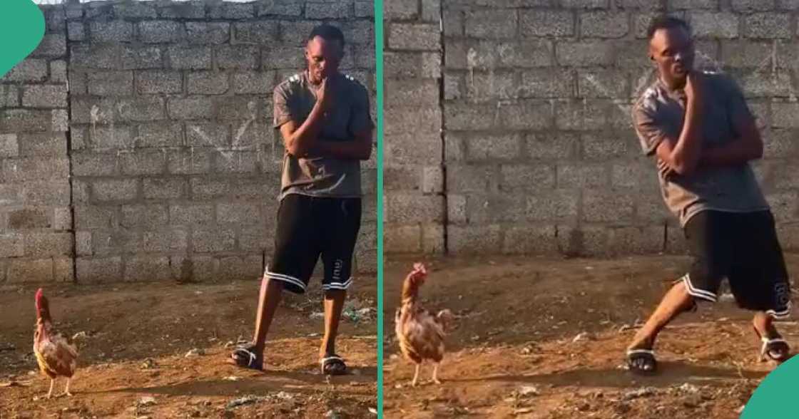 Man's way of catching chicken goes viral.