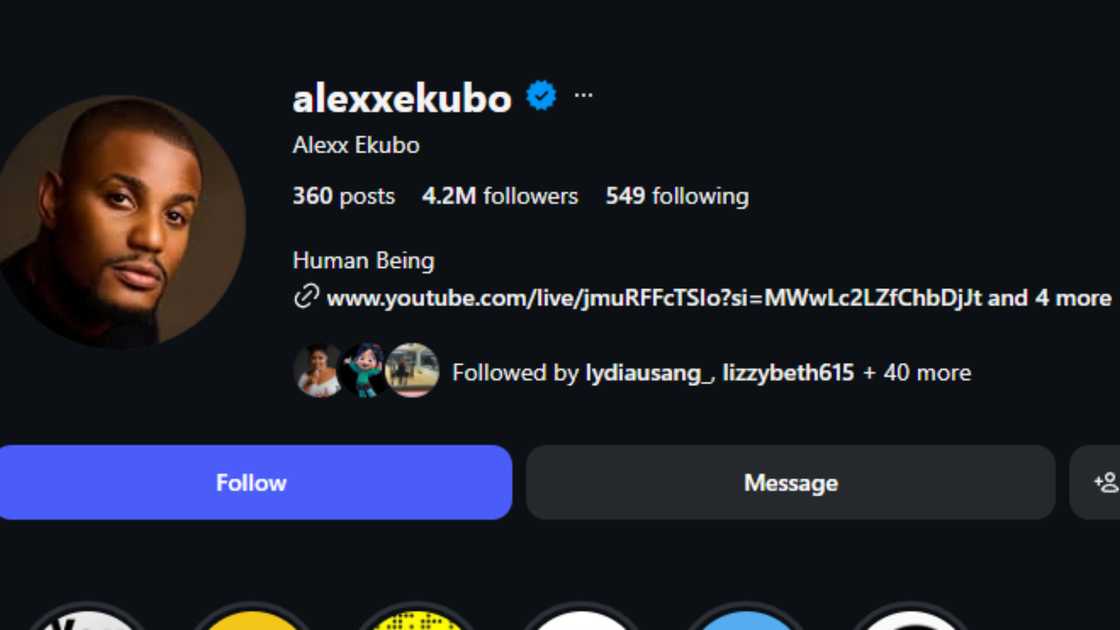 Author points out what she noticed after checking Alexx Ekubo's Instagram page