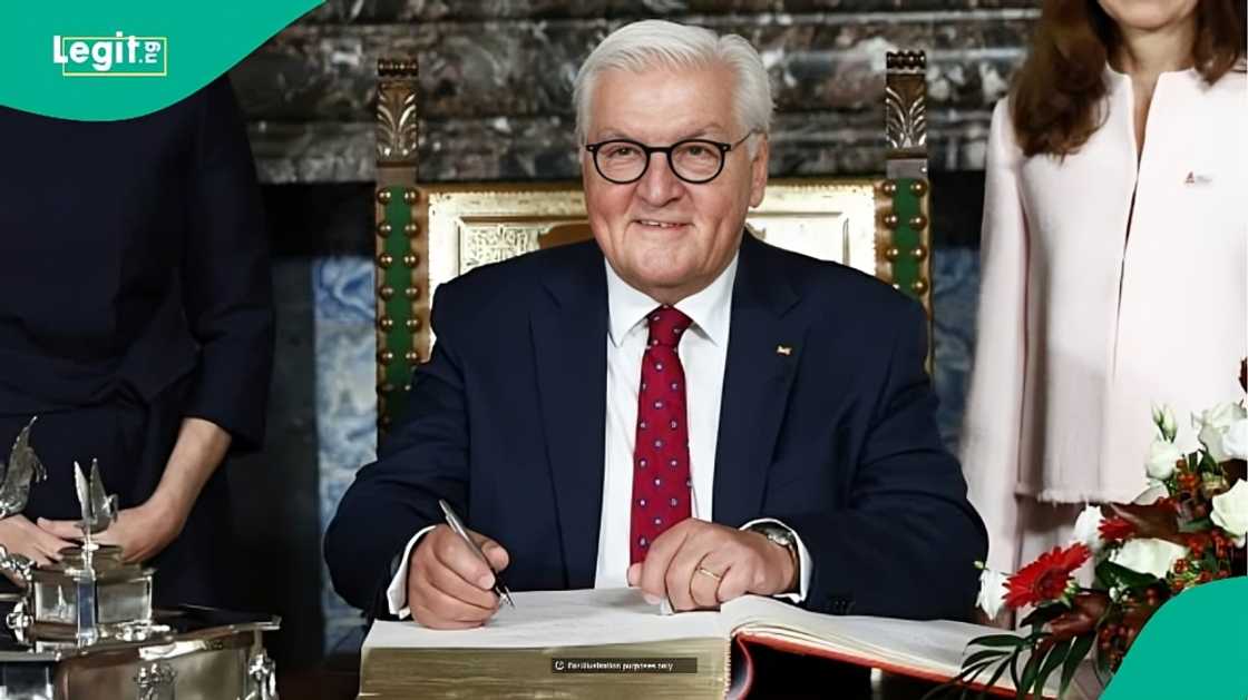Germany: 7 visa categories with no requirement for German language skills