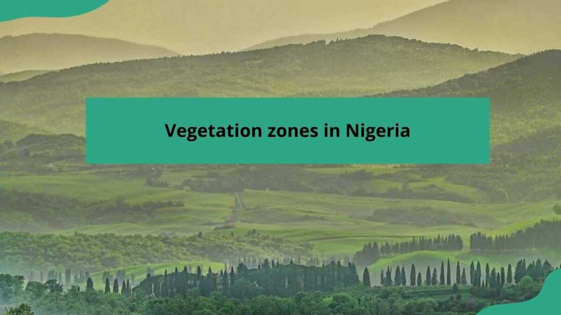 vegetation zones in Nigeria vegetation zones in Nigeria