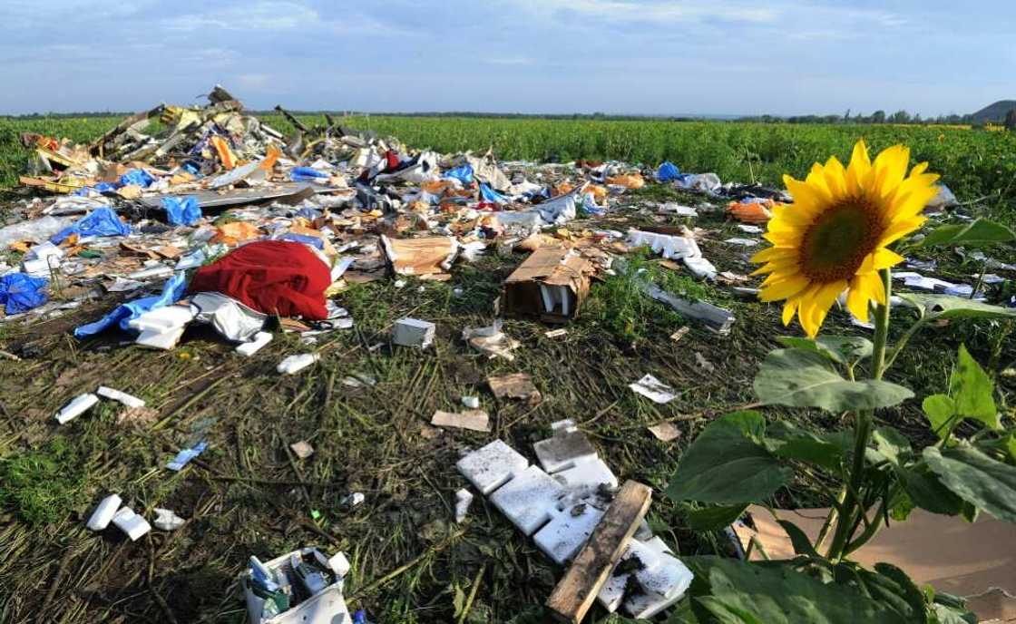 Wreckage from flight MH17 was strewn across sunflower fields in eastern Ukraine Wreckage from flight MH17 was strewn across sunflower fields in eastern Ukraine
