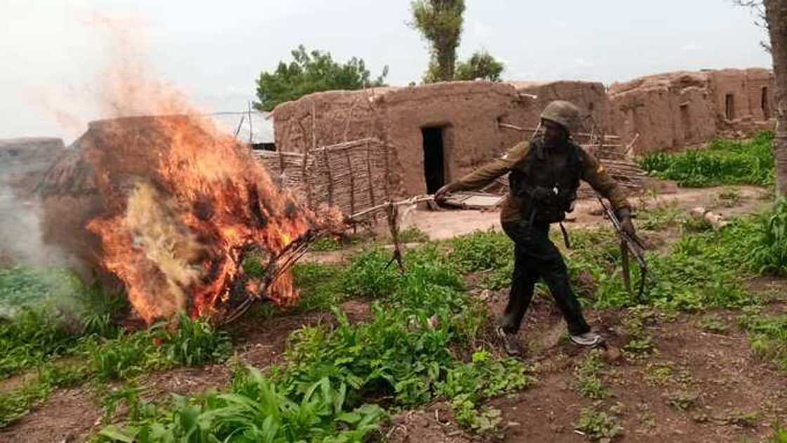 Sojoji sun lalata sansanin shugaban 'yan bindiga, Dan Jangeru, sun kashe wasu, sun kama wasu (Hotuna) Sojoji sun lalata sansanin shugaban 'yan bindiga, Dan Jangeru, sun kashe wasu, sun kama wasu (Hotuna)