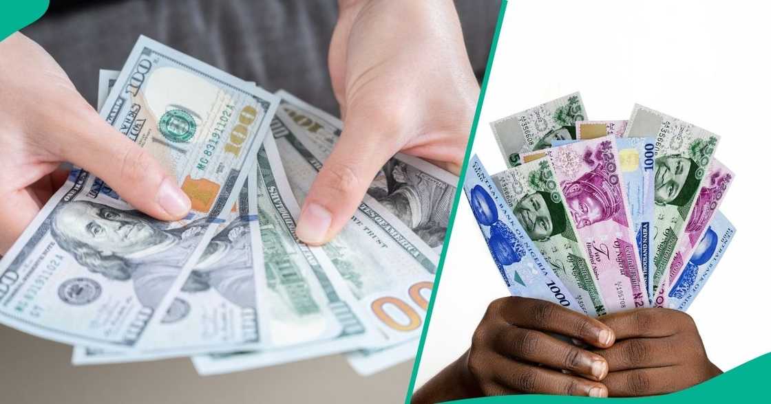 Naira falls in the parallel market, rises in official window