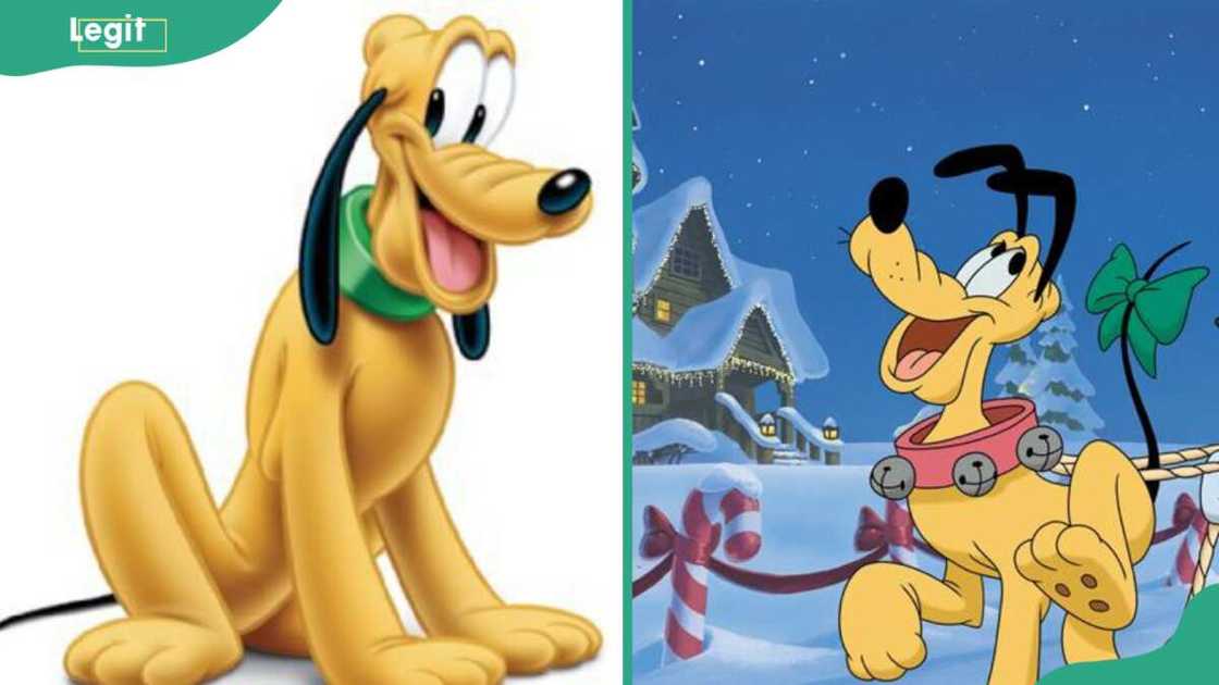 Pluto looking happy Pluto looking happy