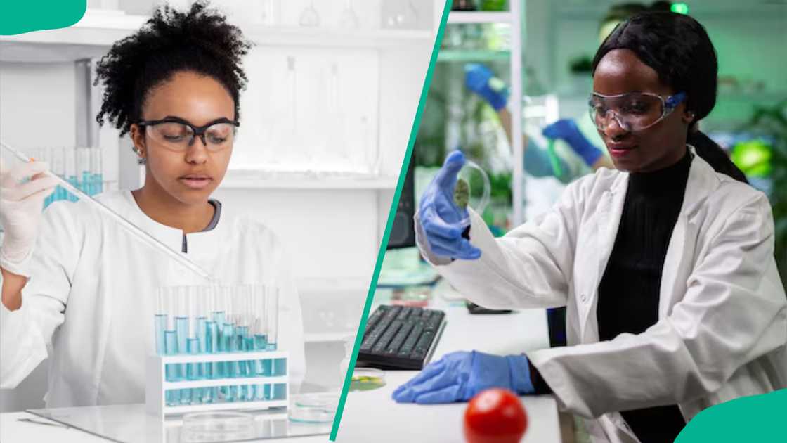 Scientists working with chemicals Scientists working with chemicals