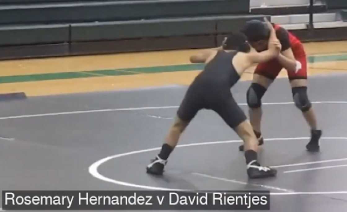 Wrestler