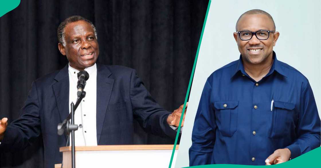Farfesa Jerry Gana da Peter Obi. Farfesa Jerry Gana da Peter Obi.