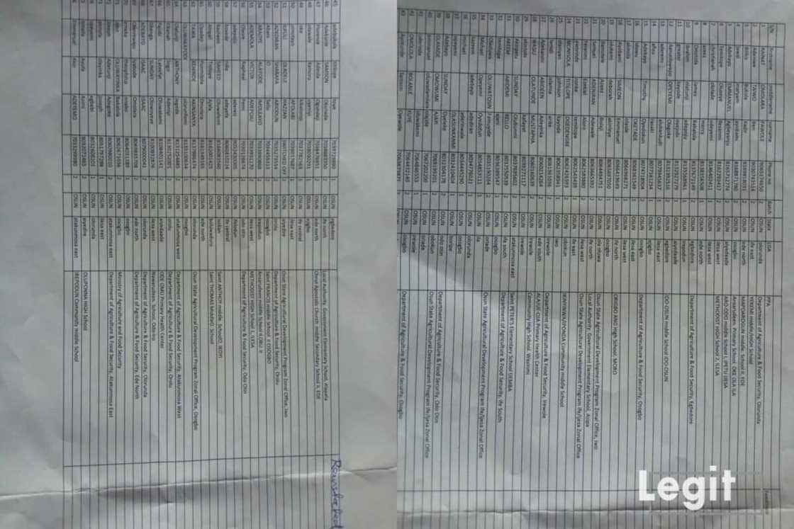 After Legit.ng's report, FG set to reinstate forcefully exited N-Power beneficiaries After Legit.ng's report, FG set to reinstate forcefully exited N-Power beneficiaries