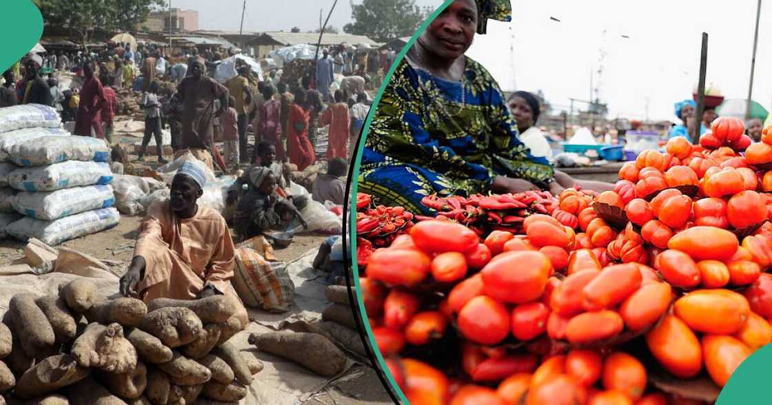 Food prices crash, August 2024 inflation