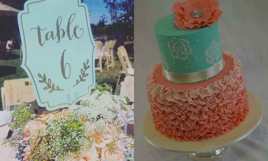 What color matches the peach color in wedding attire? What color matches the peach color in wedding attire?
