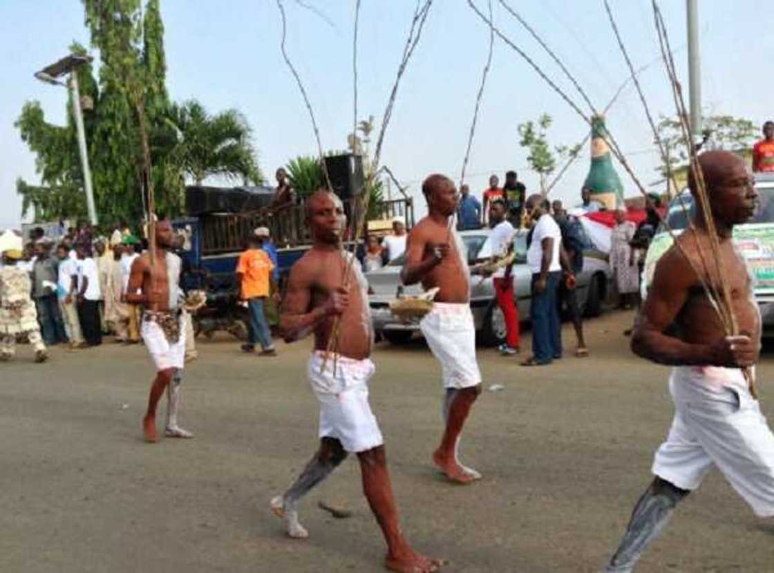 Interesting facts about Sharo, the Fulani festival where boys endure flogging as a rite of passage Interesting facts about Sharo, the Fulani festival where boys endure flogging as a rite of passage