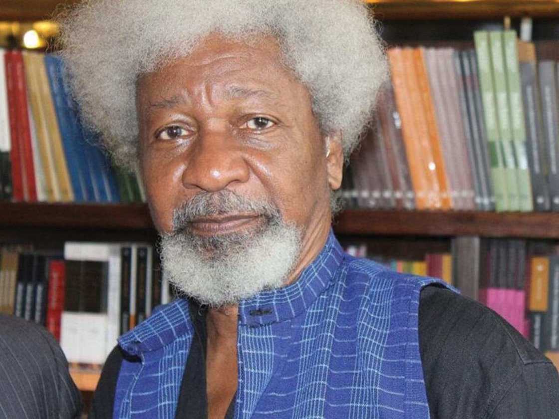 Soyinka: Ya kamata duk jihar da ake sace yara su tsunduma zanga-zanga Soyinka: Ya kamata duk jihar da ake sace yara su tsunduma zanga-zanga