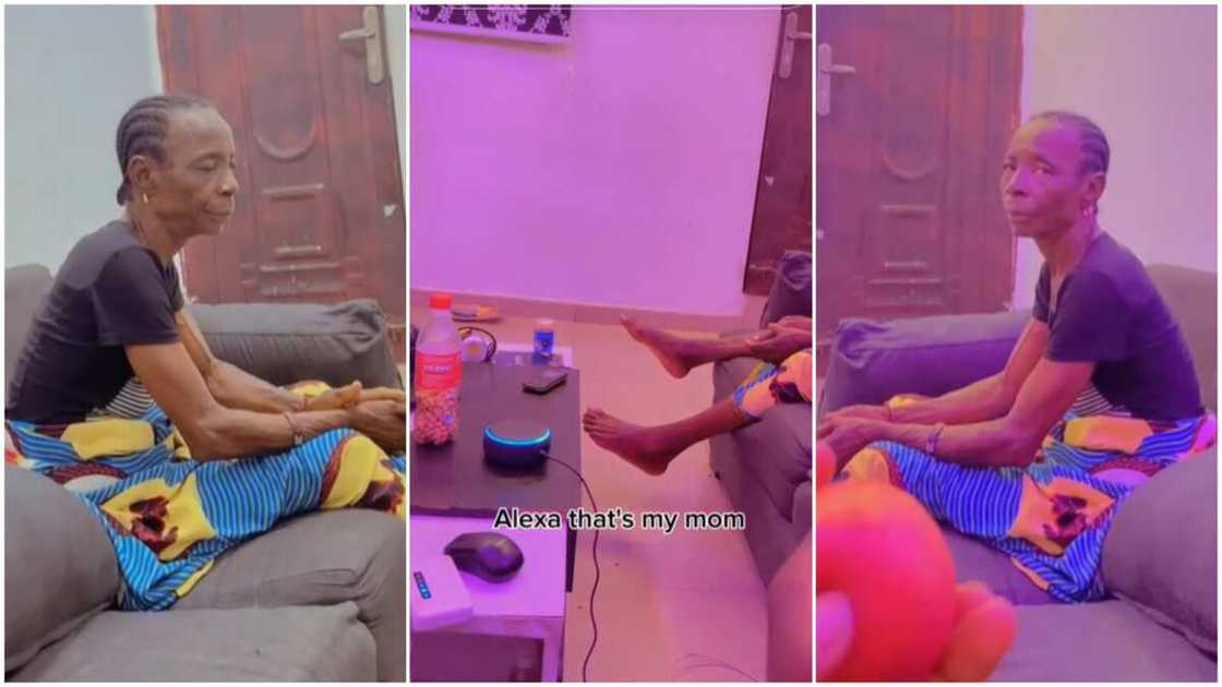 Google Alexa's voice/Alexa gave weather report. Google Alexa's voice/Alexa gave weather report.