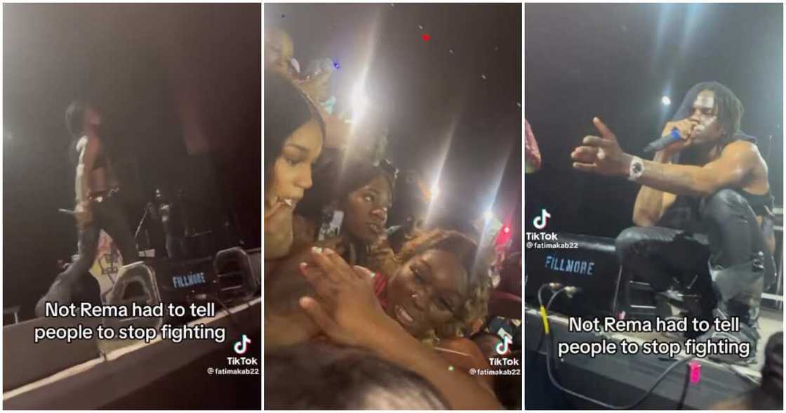 Rema gives up after trying to separate ladies fighting at his show. Rema gives up after trying to separate ladies fighting at his show.