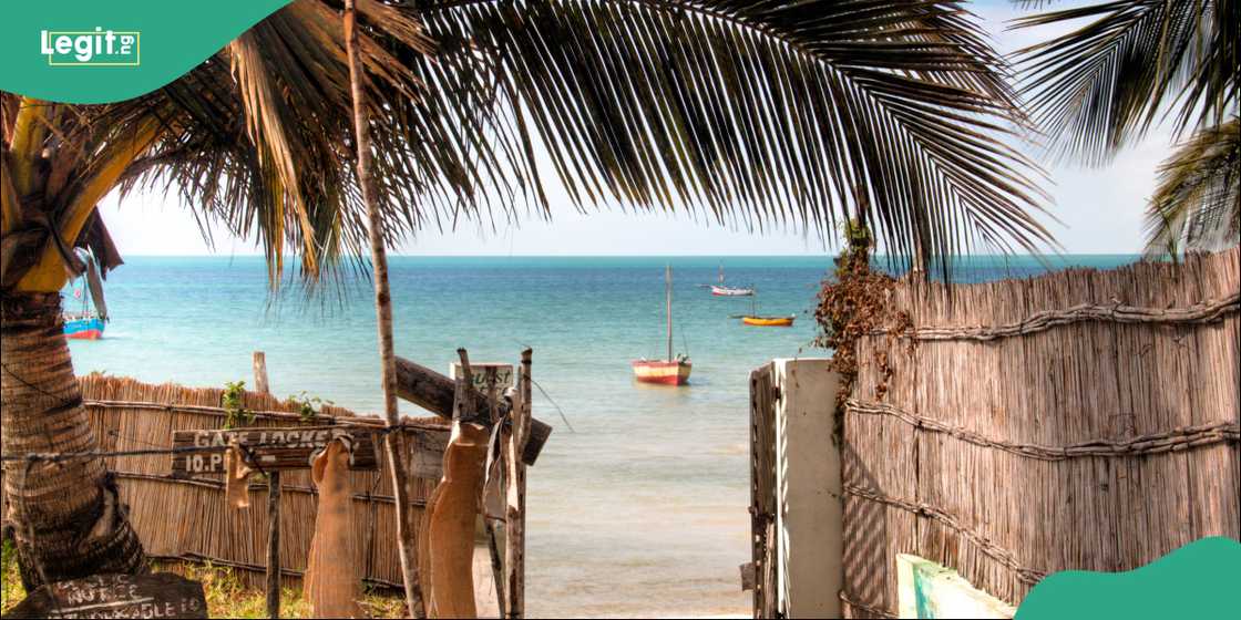 Mozambique has updated its visa-free travel policy for eligible African travellers Mozambique has updated its visa-free travel policy for eligible African travellers