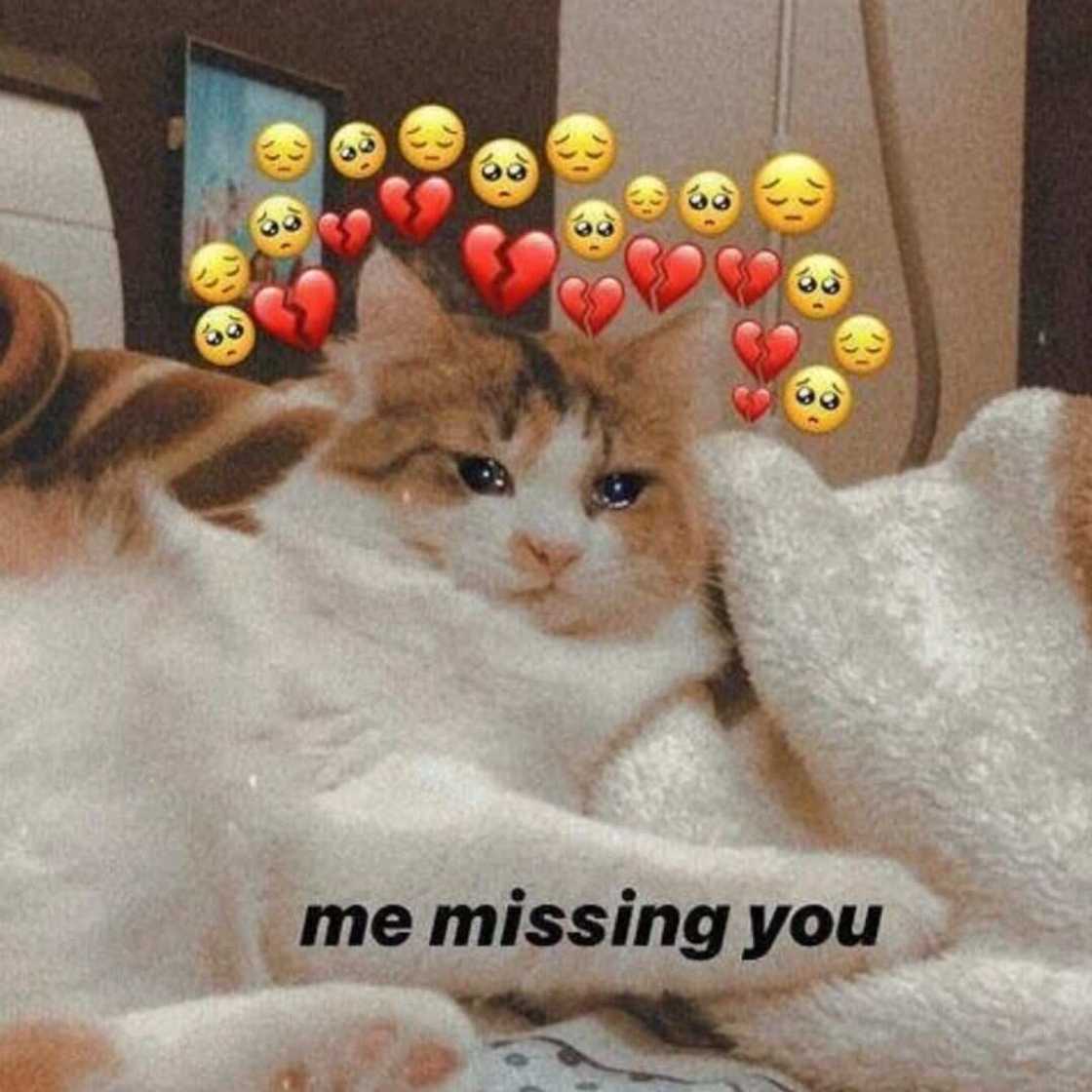 i miss you meme