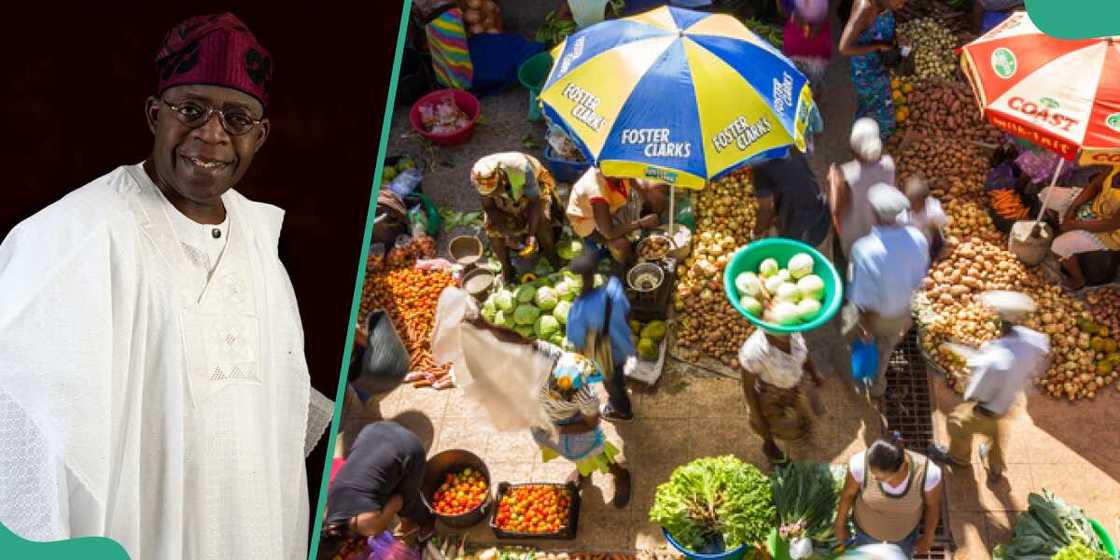 Nigeria ranks amongst countries driving half of Africa's GDP Nigeria ranks amongst countries driving half of Africa's GDP