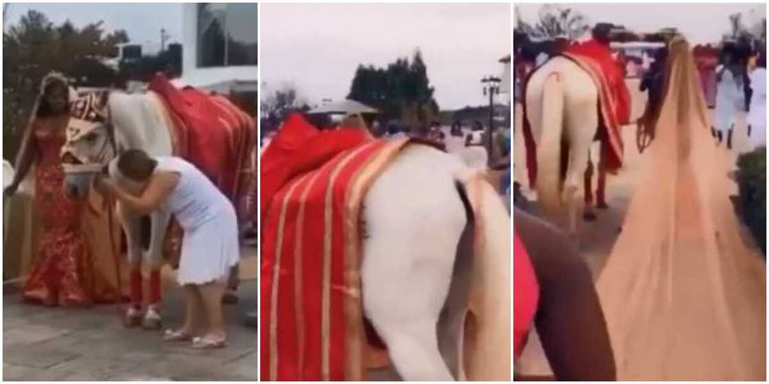 Bride makes grand entrance to wedding venue with horse (video) Bride makes grand entrance to wedding venue with horse (video)