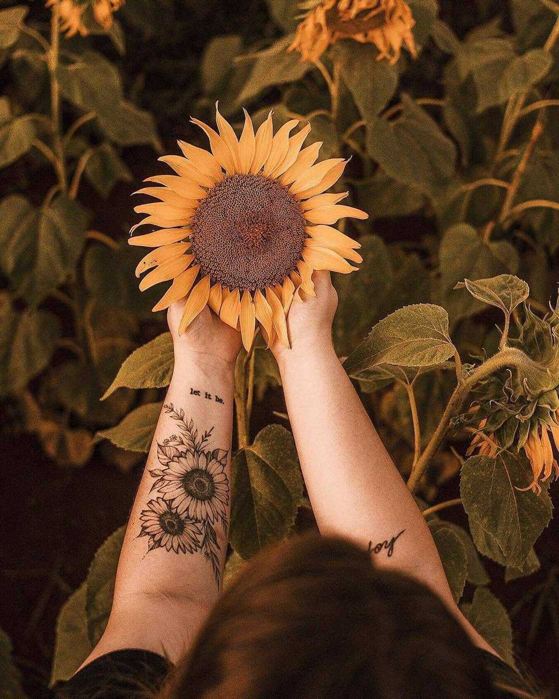 sunflower tattoo meaning