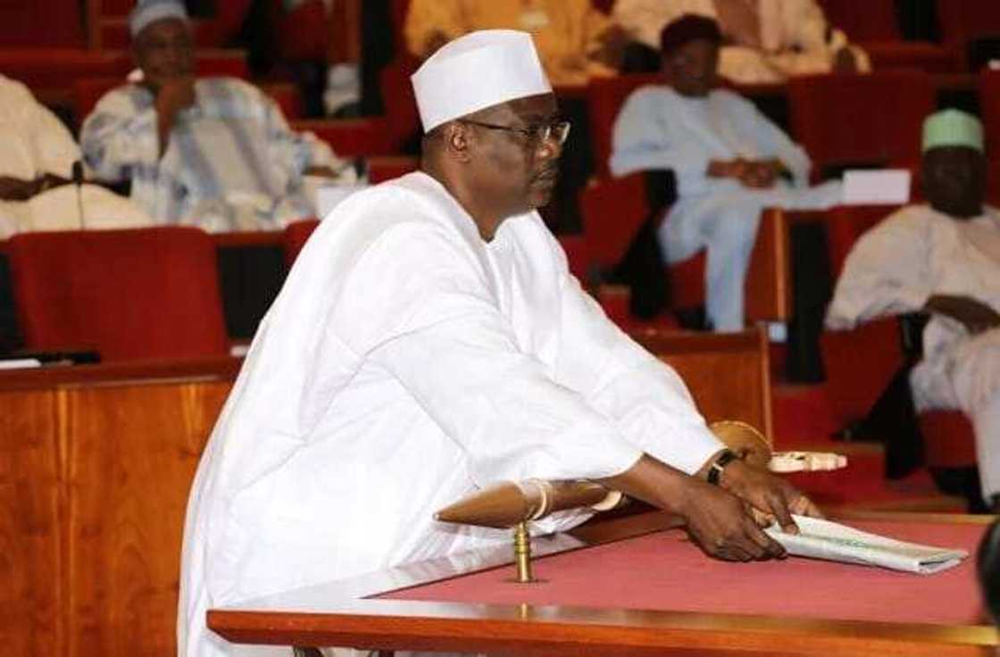 Shugabancin majalisa: Ndume zai tabbatar da aminci tasakanin bangaren zartarwa da na dokoki - Kungiya Shugabancin majalisa: Ndume zai tabbatar da aminci tasakanin bangaren zartarwa da na dokoki - Kungiya