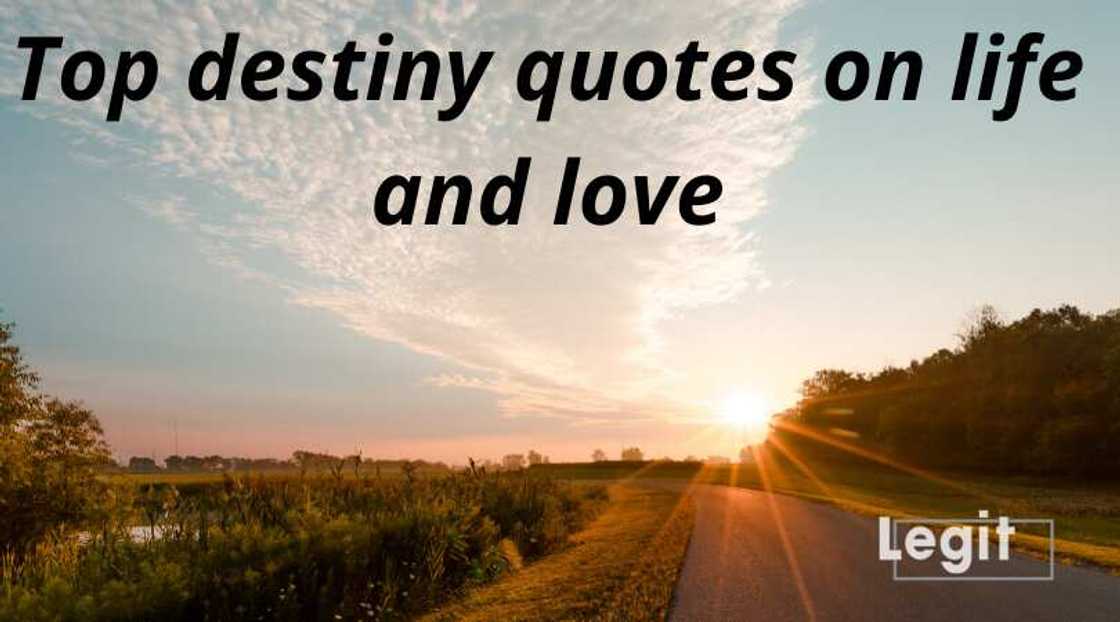 quotes on destiny quotes on destiny