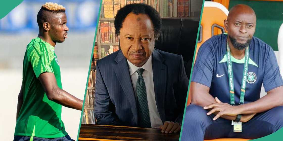 Shehu Sani Reacts To Osimhen’s Outburst At Finidi George Shehu Sani Reacts To Osimhen’s Outburst At Finidi George