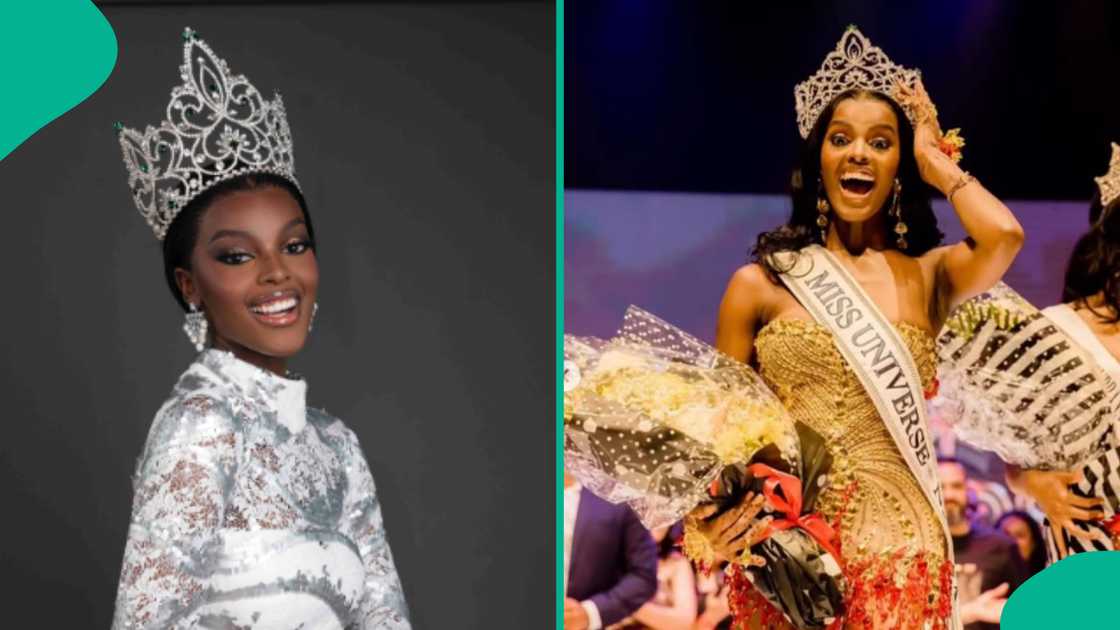 Chidimma Adetshina: South Africans write a petition to the organizers of Miss Universe.