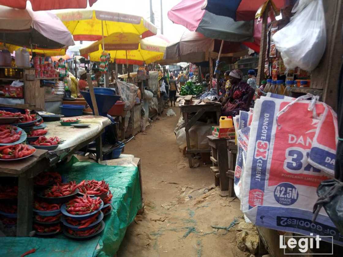 Legit.ng Weekly Price Check: Traders Reveals Top 3 Goods Whose Cost Price Have Increased in Lagos Market Legit.ng Weekly Price Check: Traders Reveals Top 3 Goods Whose Cost Price Have Increased in Lagos Market