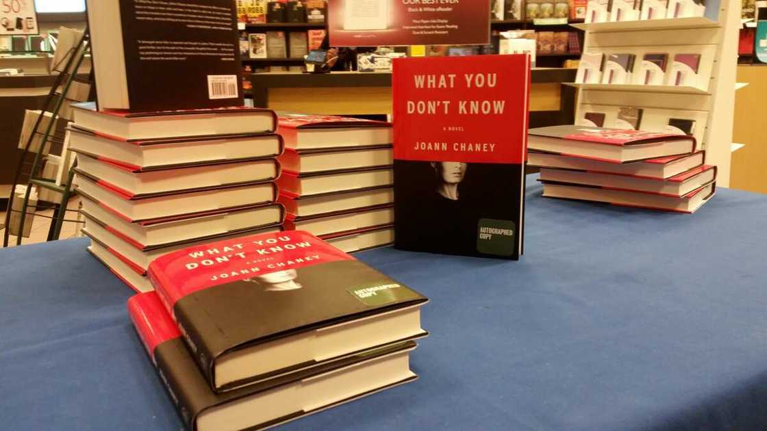 best mystery novels best mystery novels