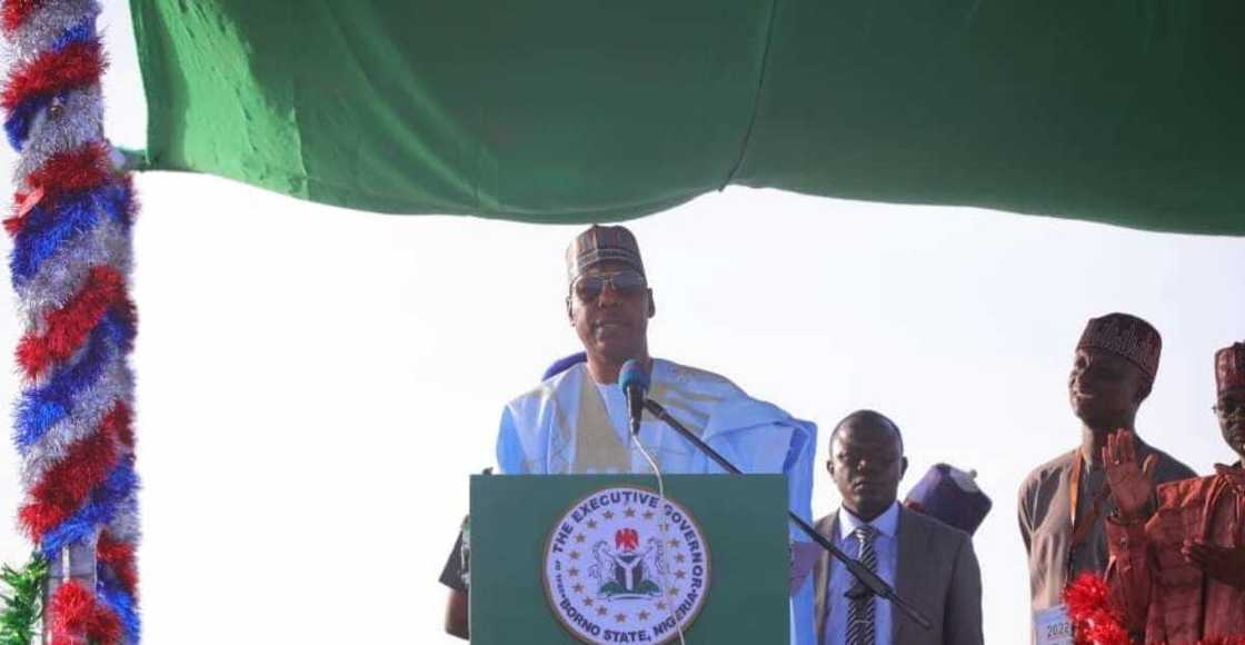 2023 Election, Governor Zulum, Borno State 2023 Election, Governor Zulum, Borno State