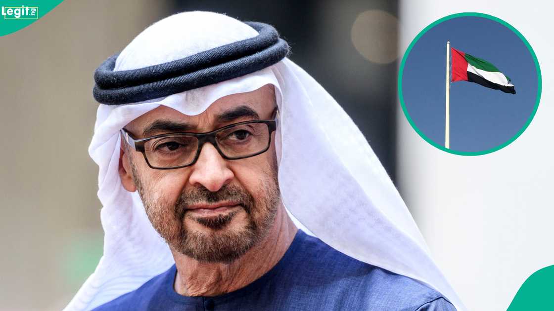 See amount environmental influencers should own to qualify for UAE Blue Residency