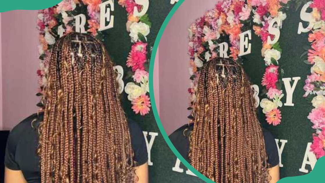 Brown braids Brown braids