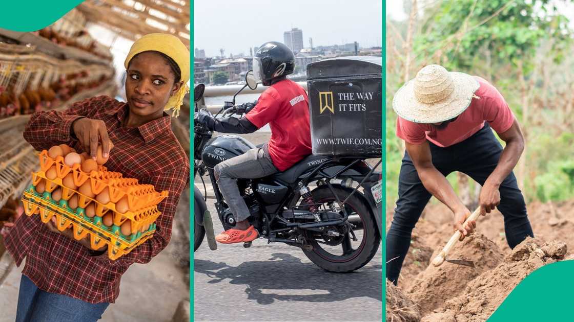 Services, Agriculture Lead as Nigeria’s GDP Grows by 3.98 Per cent. In its latest GDP report, the NBS noted that the quarterly trend shows continued fluctuations in economic performance over the past year.