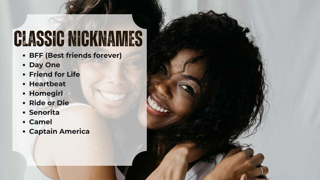 Funny nicknames for friends in English