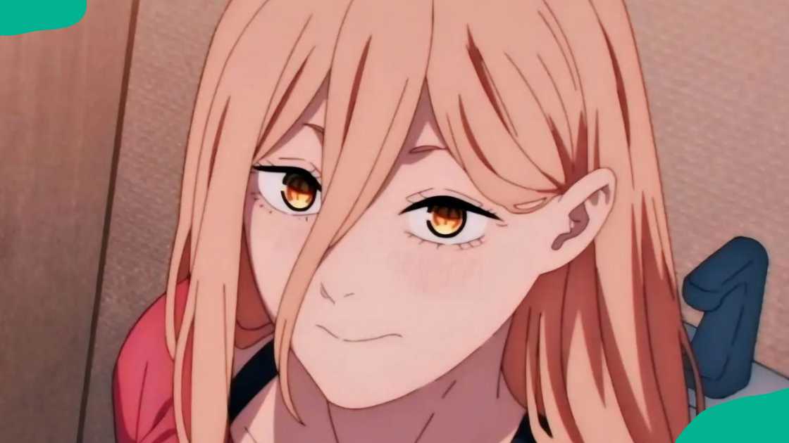 Power from Chainsaw Man Power from Chainsaw Man