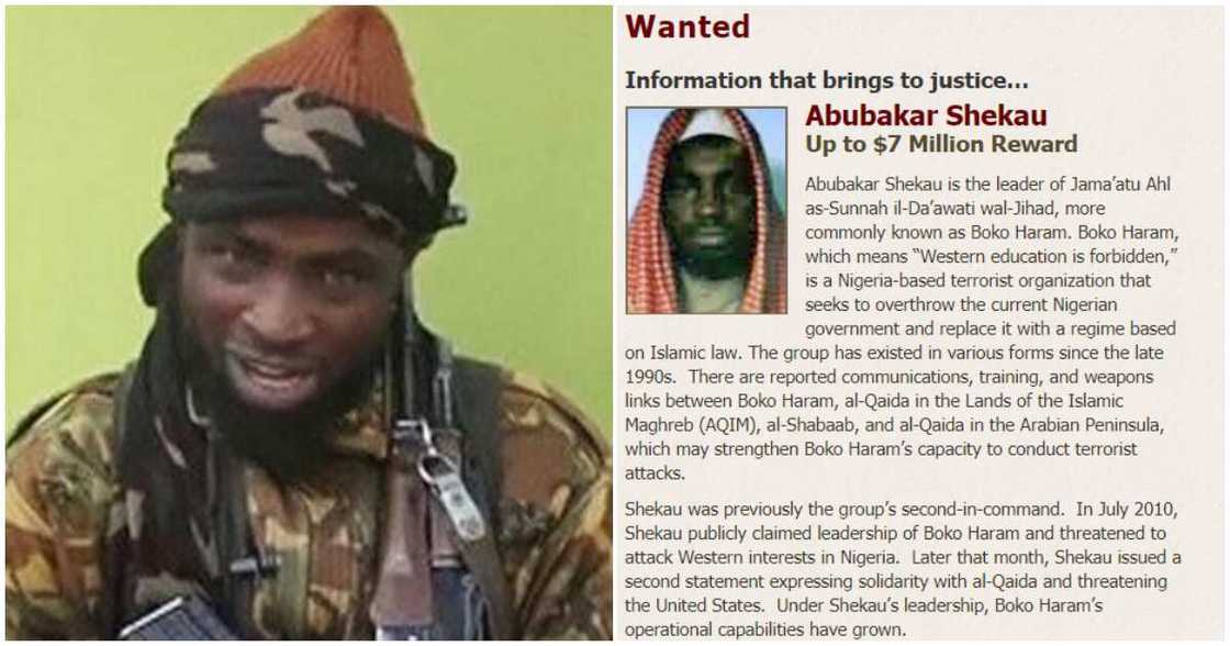 Abubakar Shekau: US Reacts to Reported Death of Boko Haram Leader, says ISIS Won’t get $7m Bounty