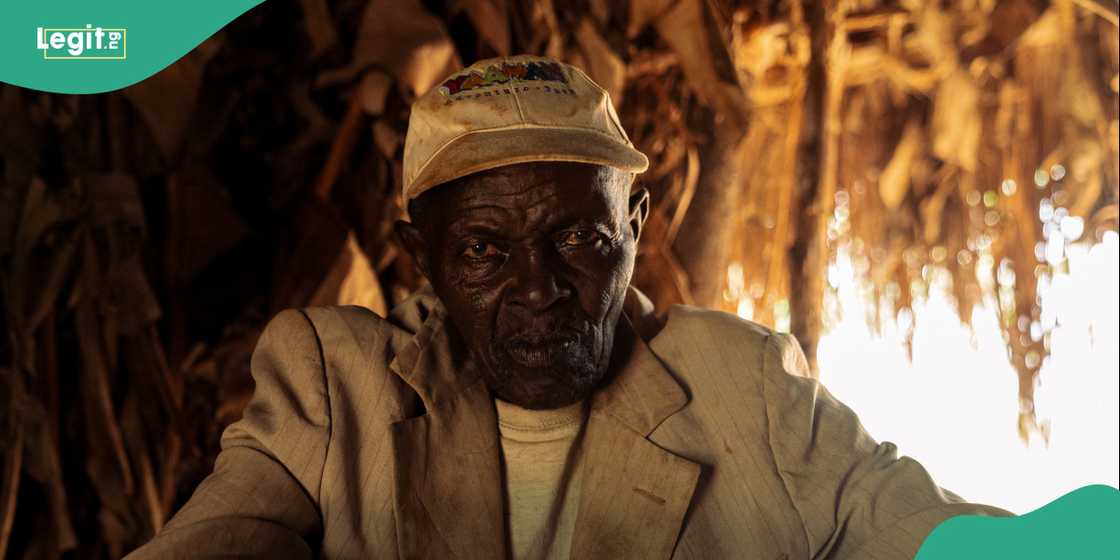 Witch doctor. Witch doctor.