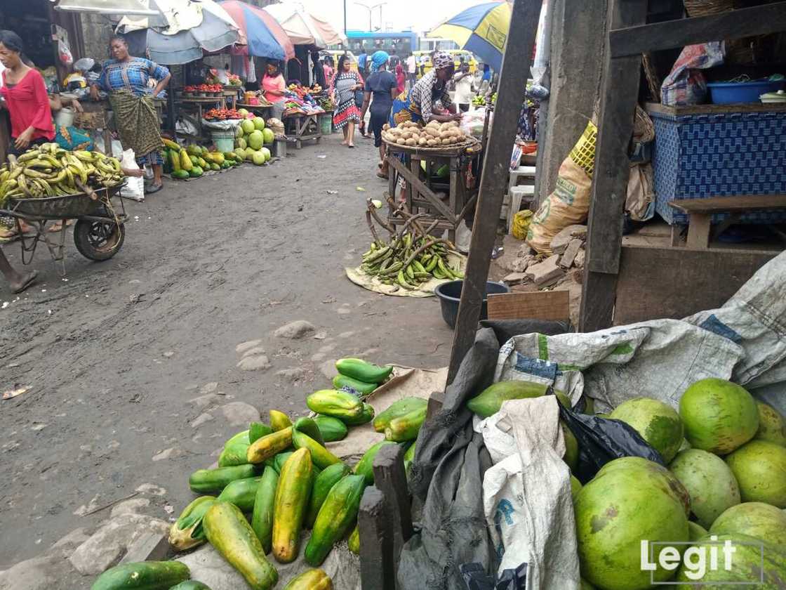 Pawpaw and watermelon on display at Jakande market, Ketu, Lagos. Photo credit: Esther Odili Pawpaw and watermelon on display at Jakande market, Ketu, Lagos. Photo credit: Esther Odili