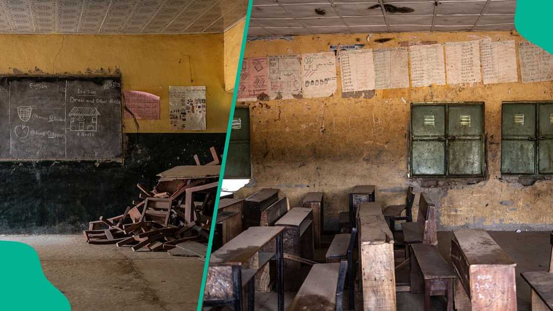 US aid withdrawal is forcing northeast Nigerian schools to cut staff and pupils, leaving children at risk. US aid withdrawal is forcing northeast Nigerian schools to cut staff and pupils, leaving children at risk.
