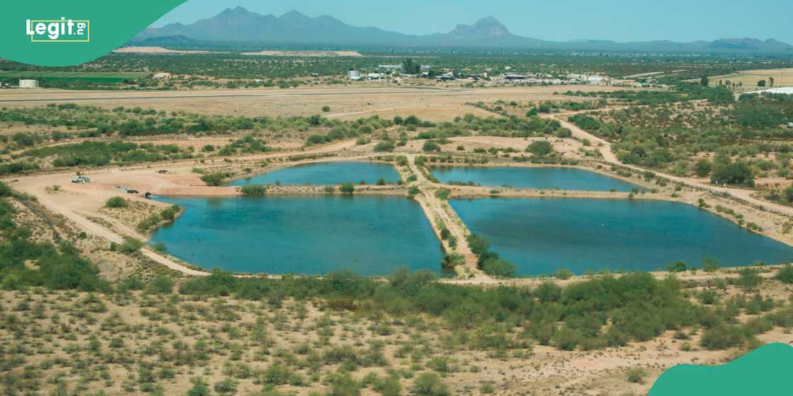 Two dead after planes collide near Arizona's Marana regional airport amid rising air disasters in the US.