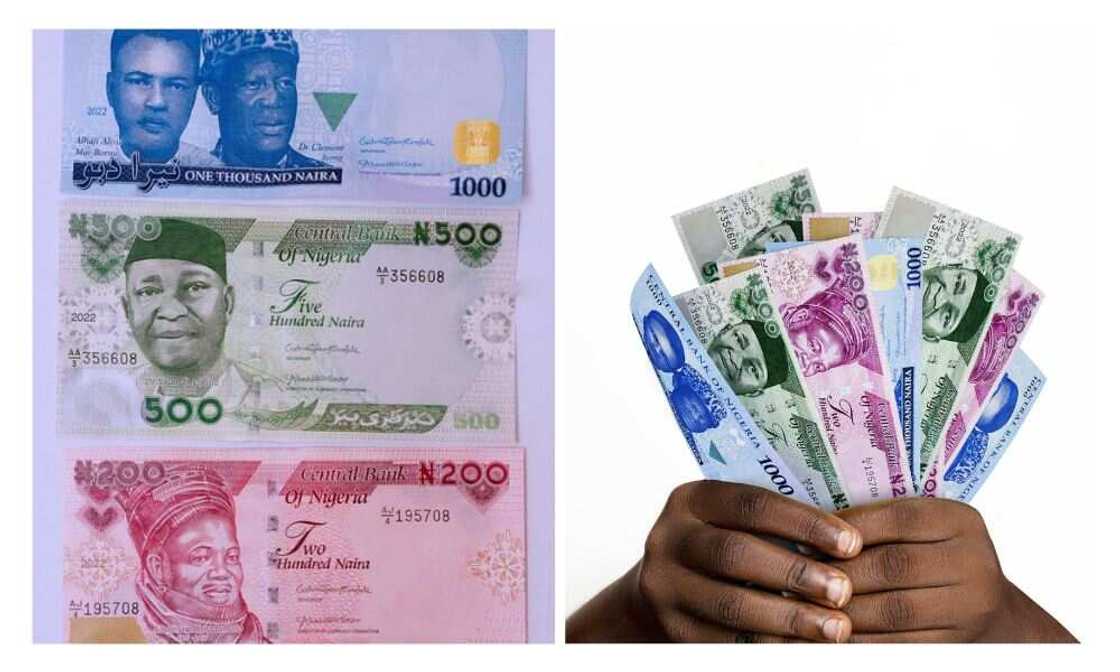 New naira notes, Godwin Emefiele, Action Dwemocratic Party, Yabani Sani