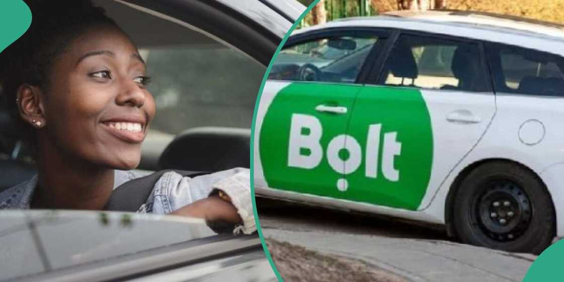 Bolt Accelerator Programme